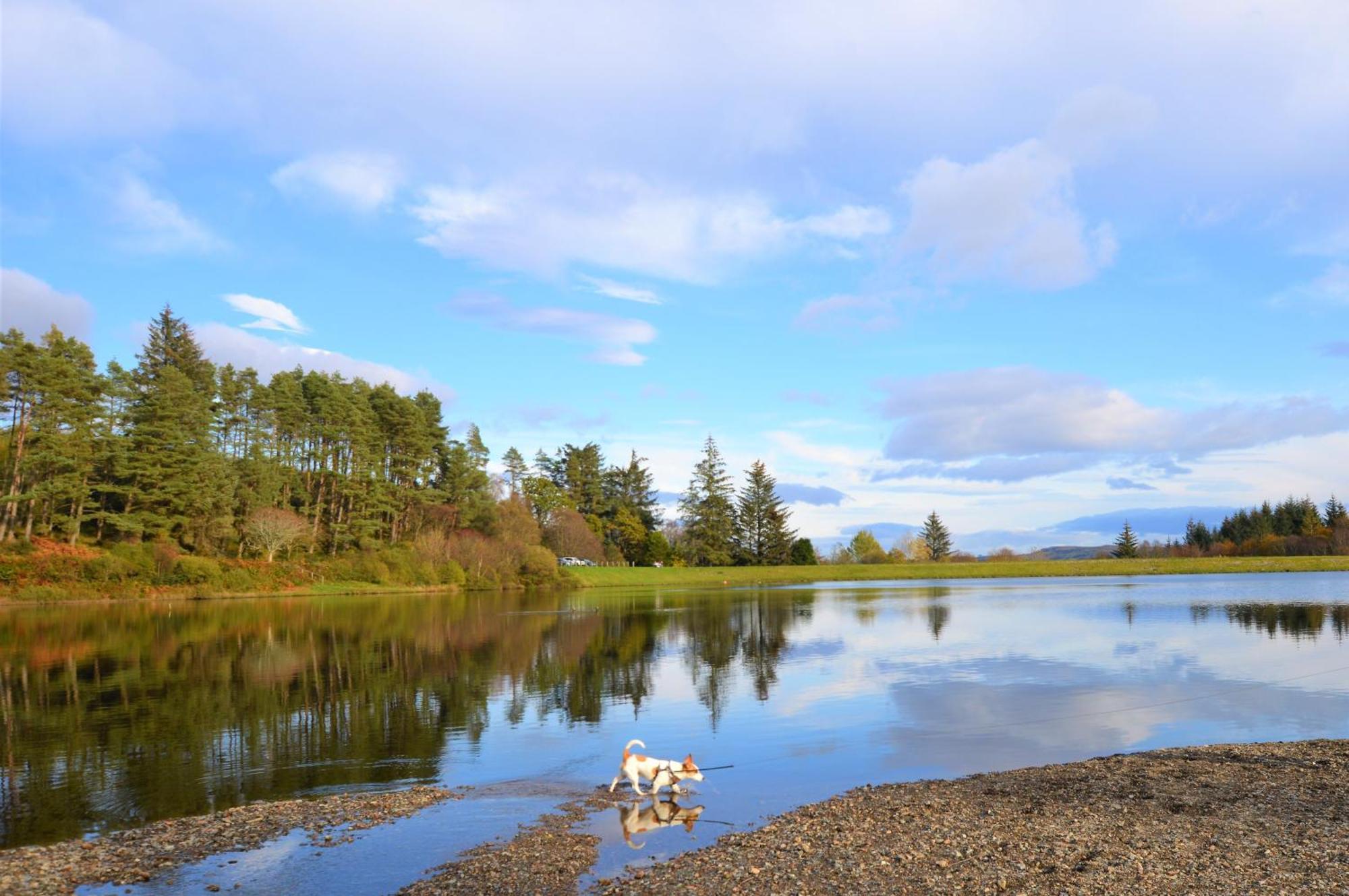 Loch View Lodge Dunoon Bagian luar foto